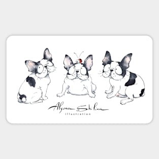 French Bulldogs Magnet